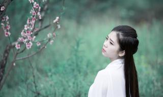 萍踪侠影主题曲 萍踪侠影主题曲